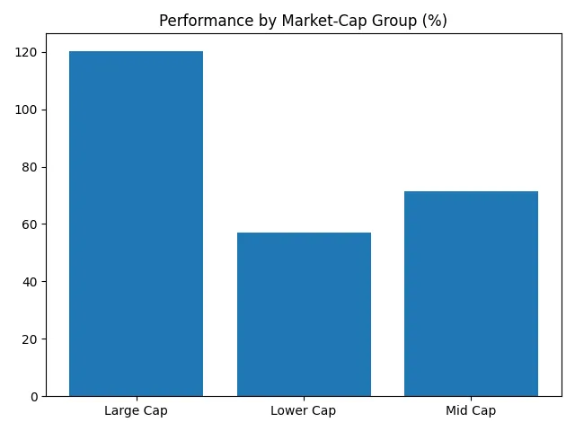 Large cap vs mid cap vs lower cap performance